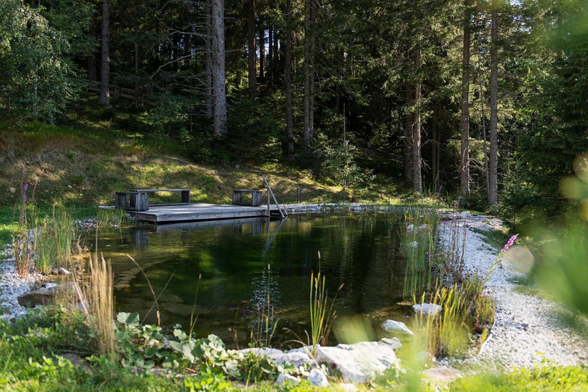 Brandlalm Chalets Gundisch Екстериор снимка